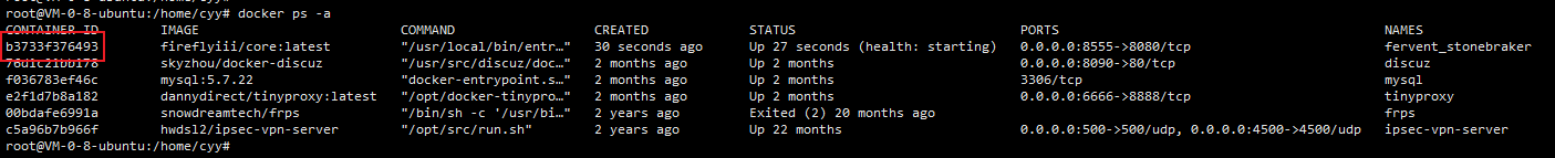 然后输入docker ps -a查找fireflyiii的id